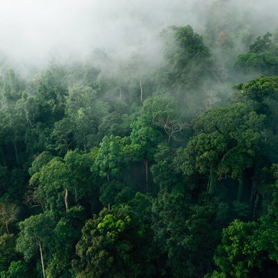 PAS-16536 - Kubus post no. 2