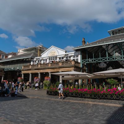 Firm numbers fall - but market continues to grow