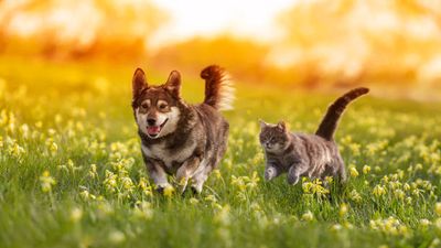 Energistically repurpose timely channels with effective services. Interactively restore.