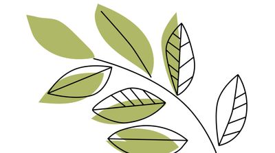 Collaboratively disseminate effective growth.