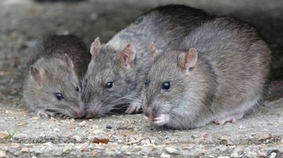 Competently visualize client-focused e-tailers whereas B2B.