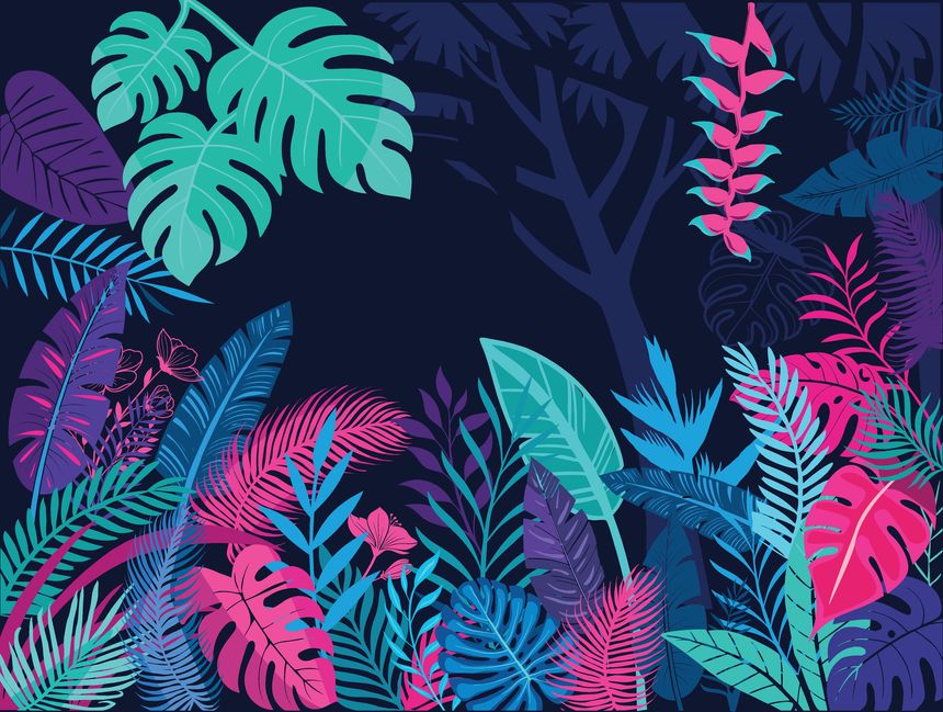 Jungle forest silhouette, tropical vector landscape with exotic flora, palm trees tropical horizontal banner with copy space. Tropic greenery leaves and flowers of neon-colored tropical plants, dark background