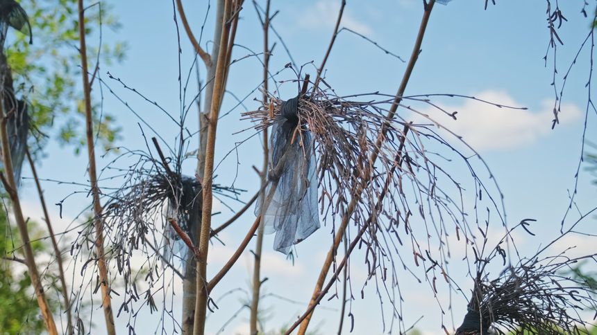 Creepy Halloween Witch Occultist Pagan Decorations