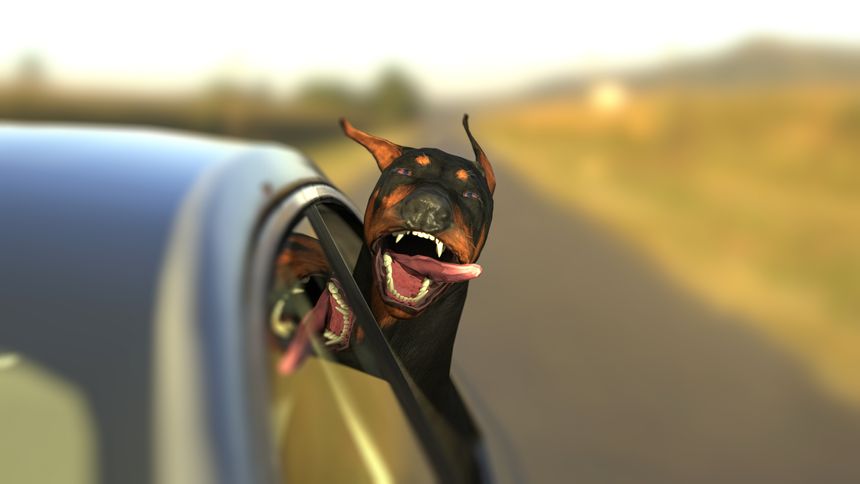 Doberman dog enjoying car ride head out of window with funny expression 3d illustration